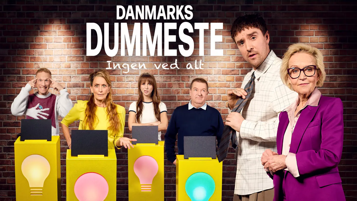 Danmarks dummeste